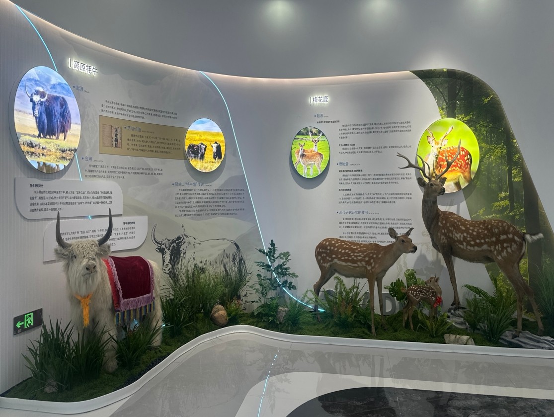 銀川伊百盛生物工程有限公司 銀川伊百盛生物工程有限公司