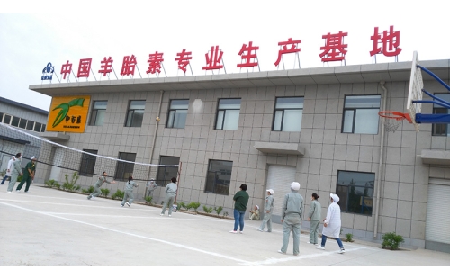 團結合作，快樂迎五一