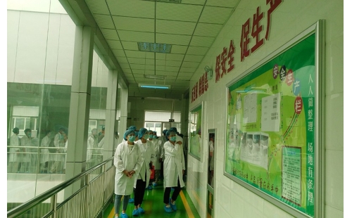 值公司成立十周年慶典，公司贊助萬名老人免費游寧夏系列活動