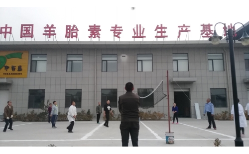 排球傳溫情，員工齊聚心