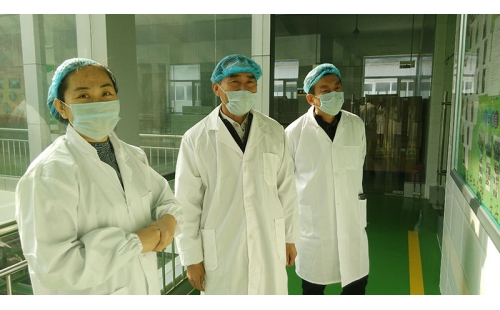 銀川市金鳳區工業集中區黨工委書記張勝利一行蒞臨公司參觀、調研